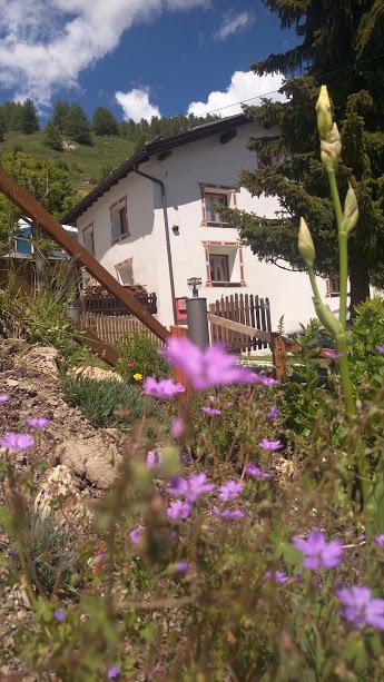 Berghaus Am Sonnenhang Valpaschun Valchava 外观 照片
